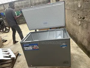 SKYRUN BD-300HNW Kitchen Fridge Unit
