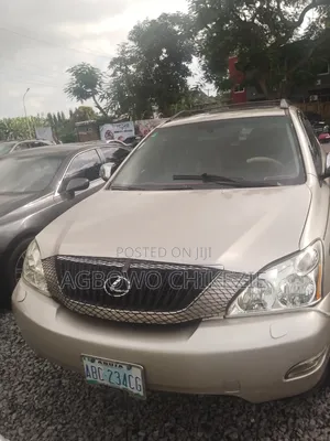 Lexus RX 2010 Brown