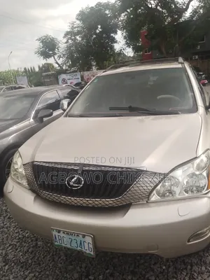 Lexus RX 2010 Brown