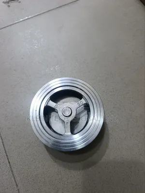 Stainless Spring Check Valve