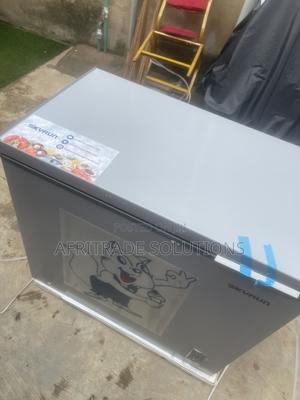 Skyrun 250L Inverter Freezer – Spacious Powerful