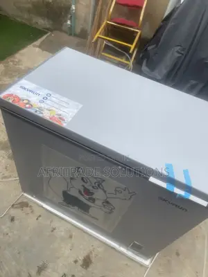 Skyrun 250L Inverter Freezer – Spacious Powerful