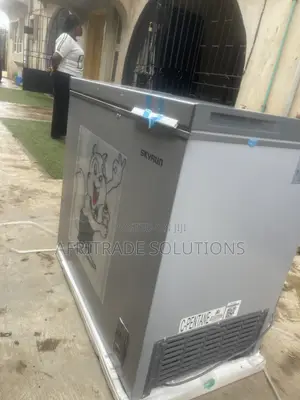 Skyrun 250L Inverter Deep Freezer – Freeze With Confidence