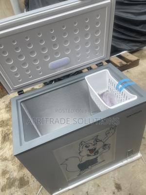Skyrun BD-250AI Inverter Freezer – 250L for Frozen Foods