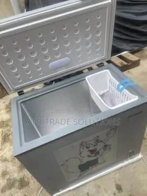 Skyrun BD-250AI Inverter Freezer – 250L for Frozen Foods