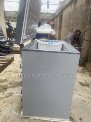 Skyrun BD-250AI Inverter Freezer – Room for Every Essential