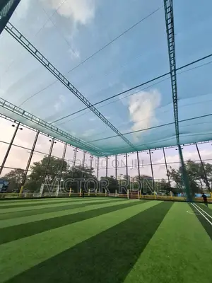 Artificial Grass Available in Different Designs MM