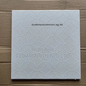 23.5 X 23.5 Feature or Accent Walls