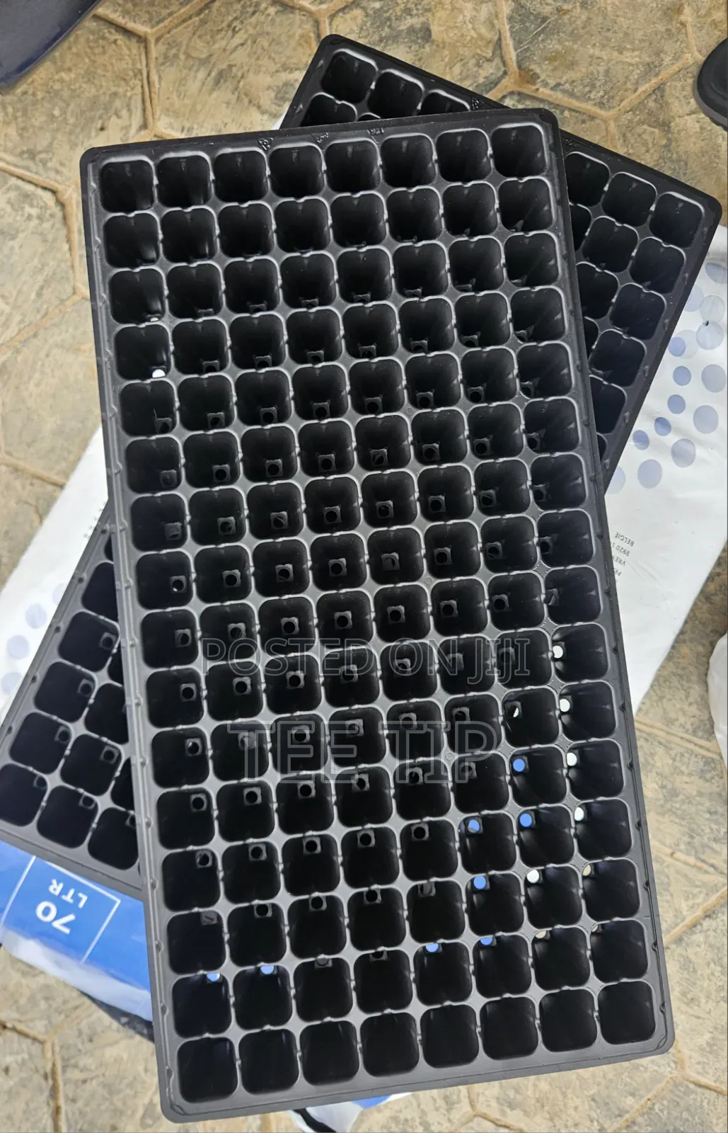 Seed Trays