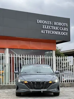 Hyundai Elantra Limited 2021 Gray