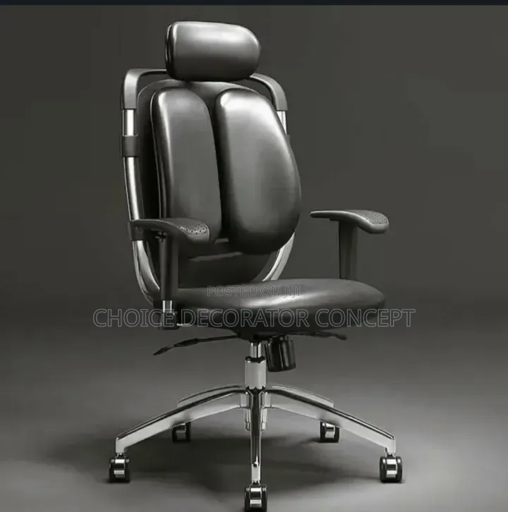 Ergonomic Office Kidney Chair