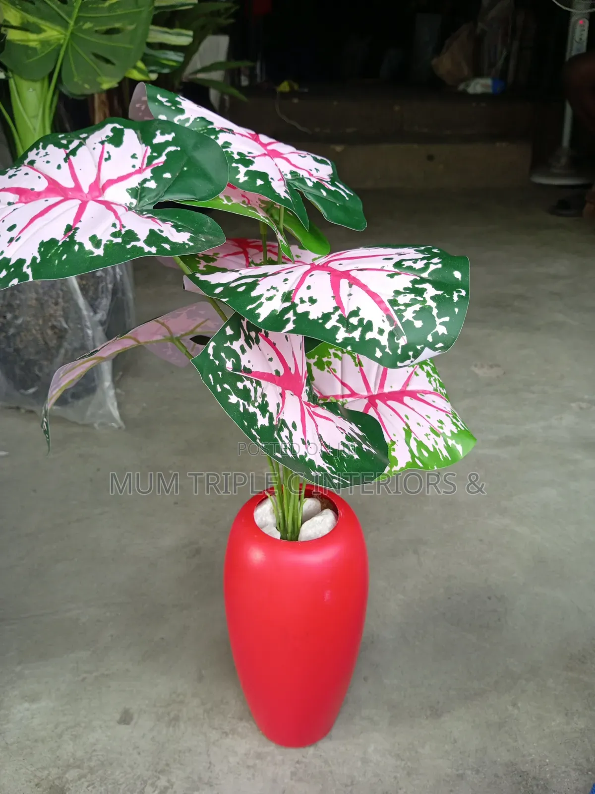 Flower and Vase