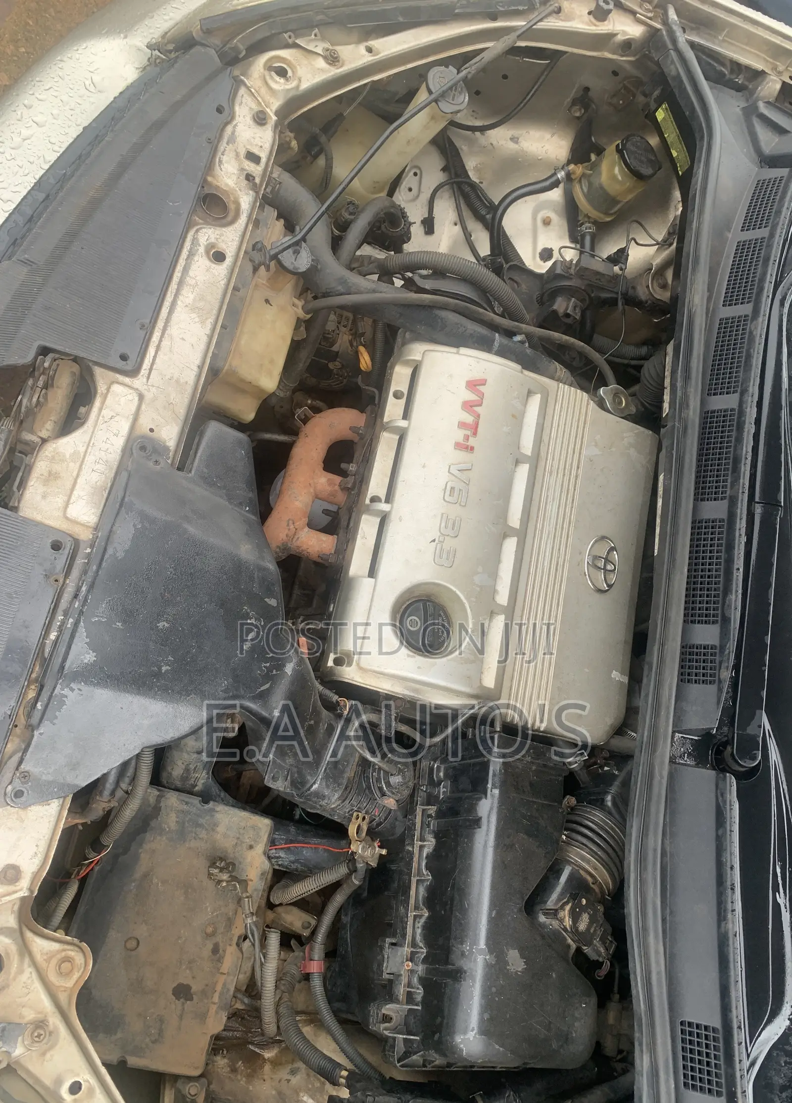 Toyota Sienna 2004 Gold