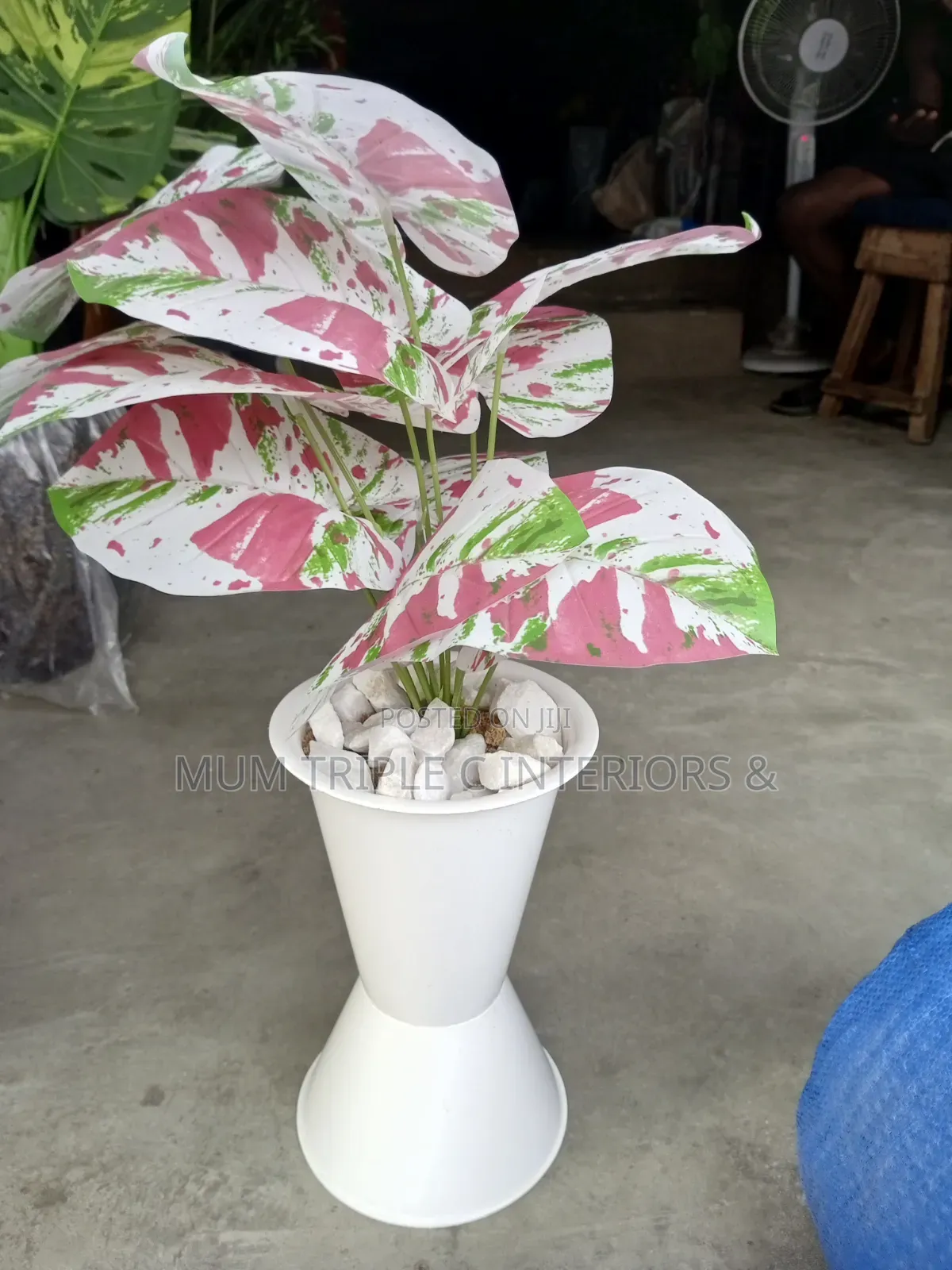 Flower and Vase