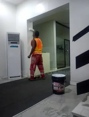 V-Xel Paint Company
