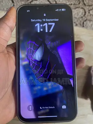 Apple iPhone 13 Pro Max 128 GB Gray