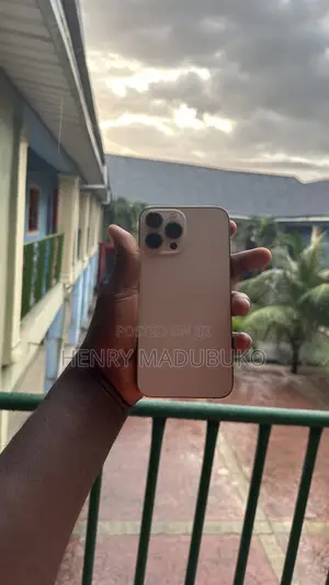 Apple iPhone 13 Pro Max 128 GB Gold