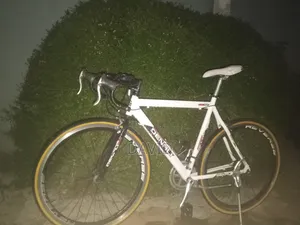 Sports Bicycle