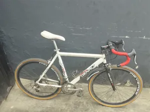 Sports Bicycle