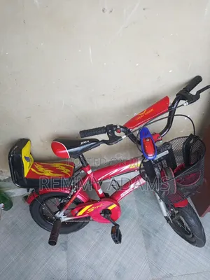 Few Month Neatly Used Bicycle