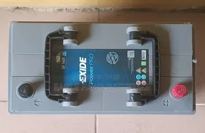 Exide 100amps