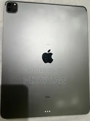 Apple iPad Pro 256 GB Gray