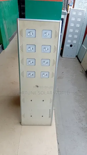60Watts Choice D2 8eye Solar Street Light