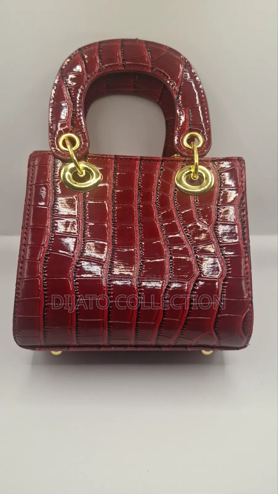 Dior Bag for Ladies