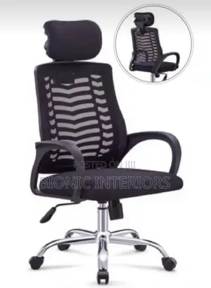 Office Chair With Headrest and Stainless Leg