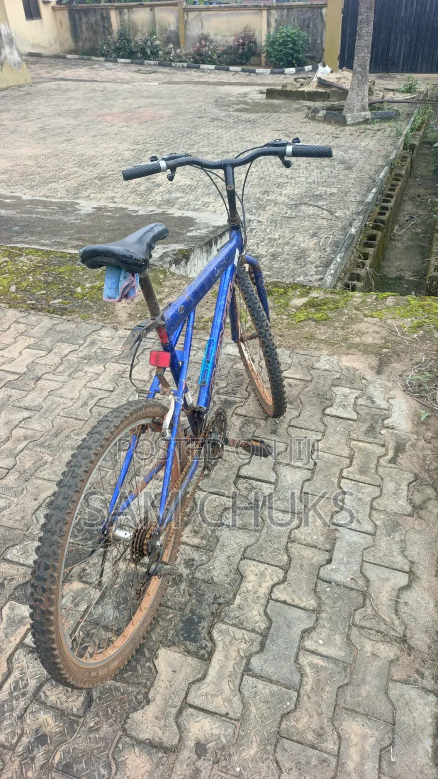 Sports Bicycle