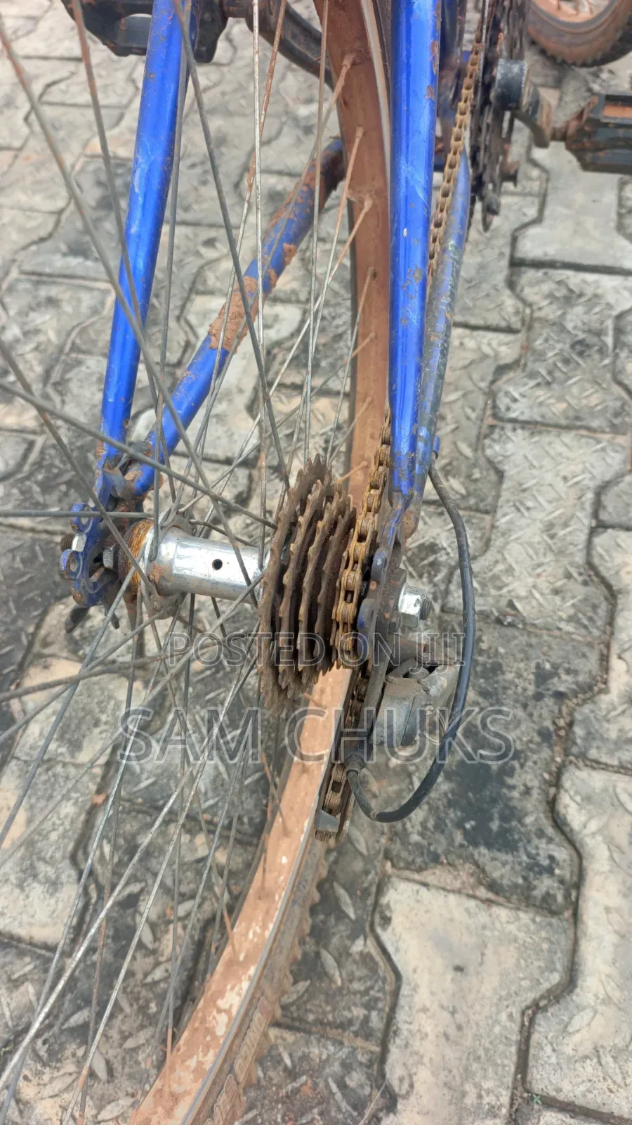 Sports Bicycle