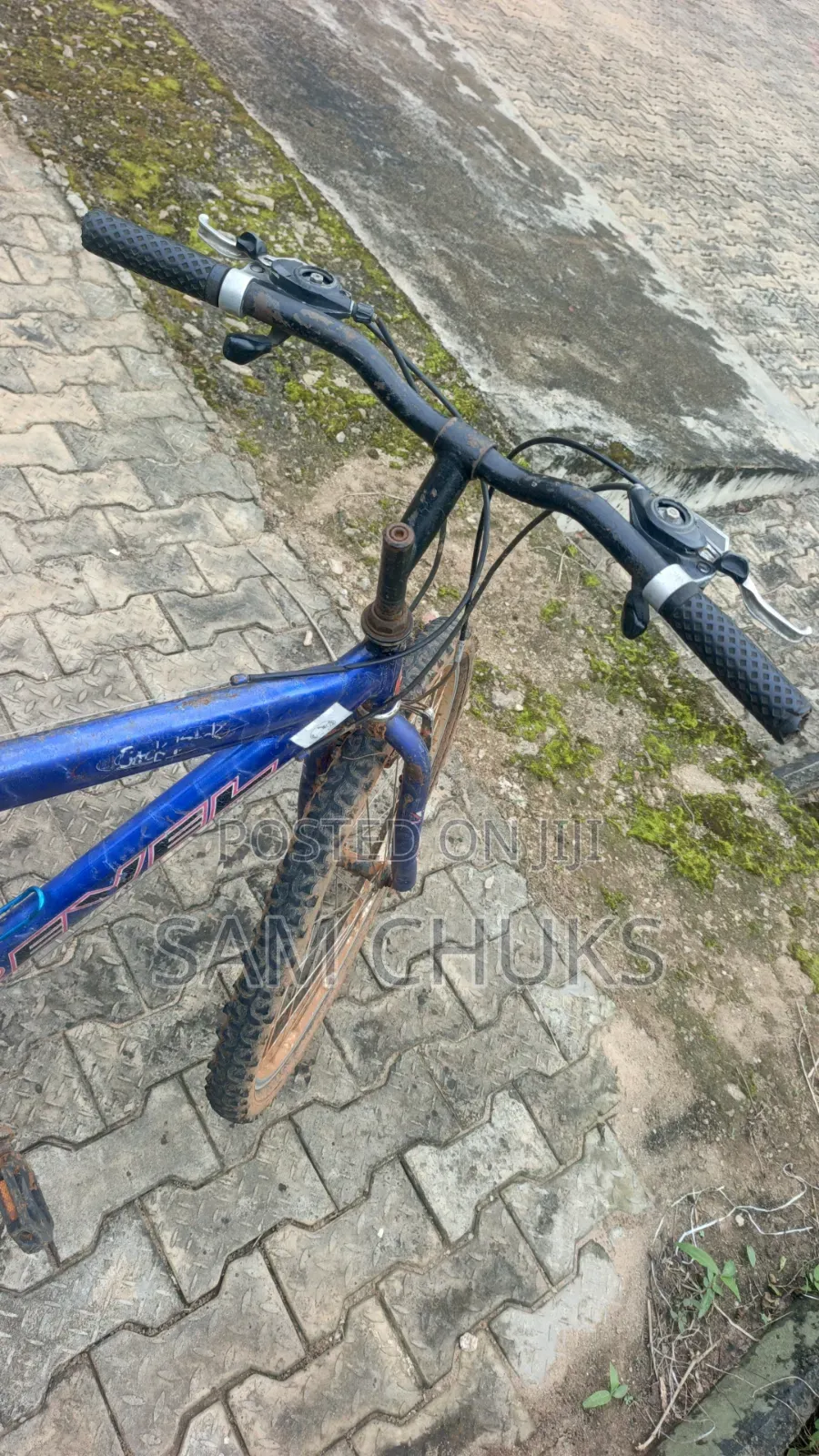 Sports Bicycle