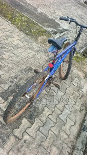 Sports Bicycle