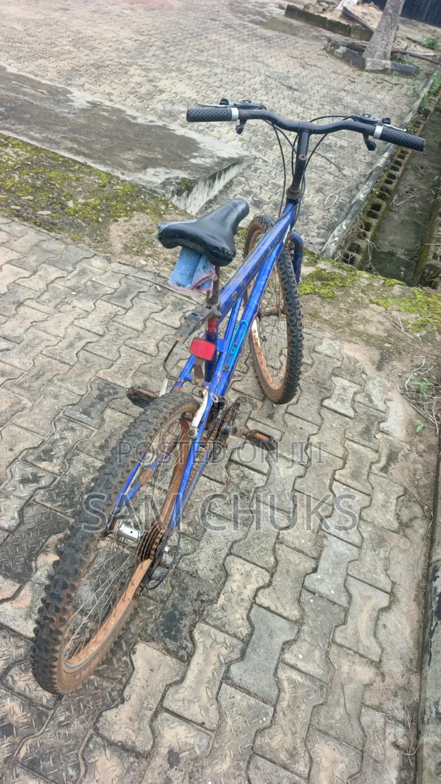 Sports Bicycle