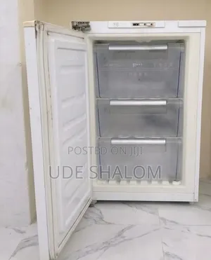 LG Standing Freezer
