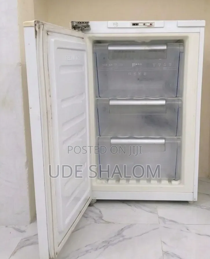 LG Standing Freezer