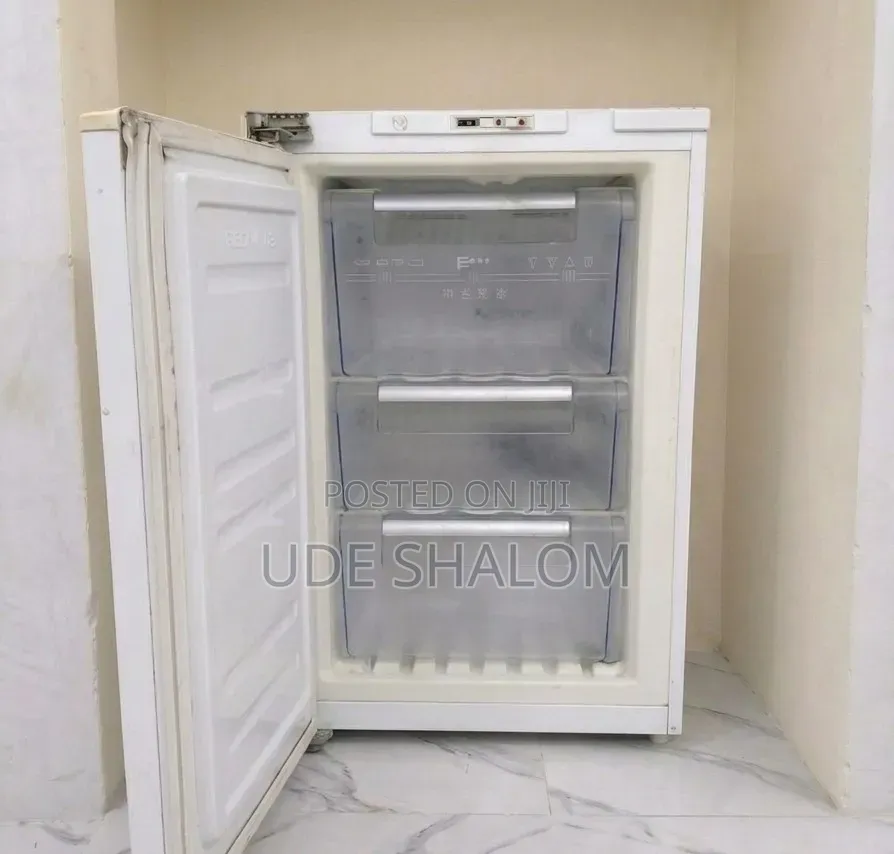 LG Standing Freezer