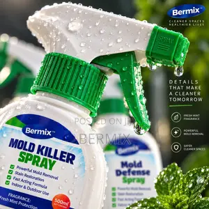 Mold Treatment Kit