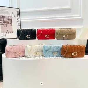 Ladies Handbag