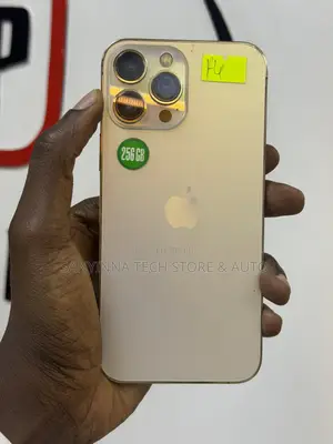 Apple iPhone 13 Pro Max 256 GB Gold