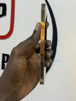 Apple iPhone 13 Pro Max 256 GB Gold