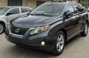 Lexus RX 2010 Gray
