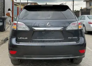 Lexus RX 2010 Gray