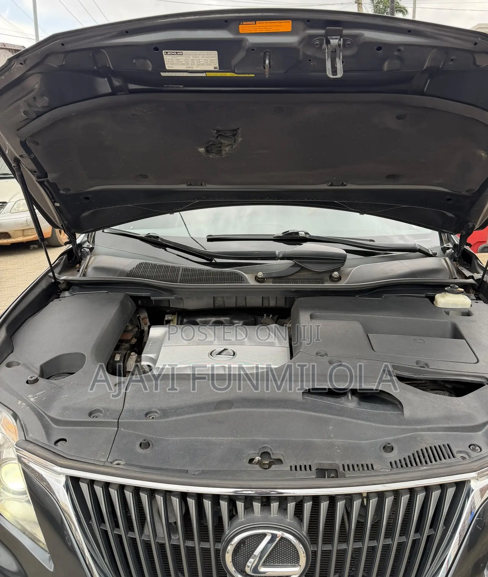 Lexus RX 2010 Gray