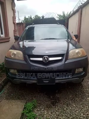 Acura MDX 2004 Gray
