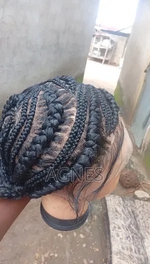 Braided Wig