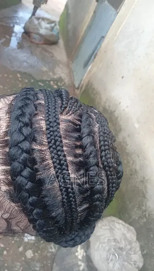 Braided Wig