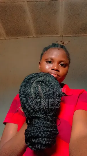 Braided Wig