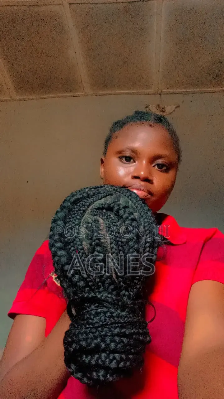 Braided Wig