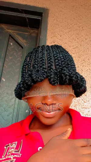 Braided Wig